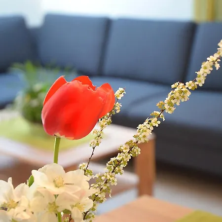 Apartamento Zipperhof *