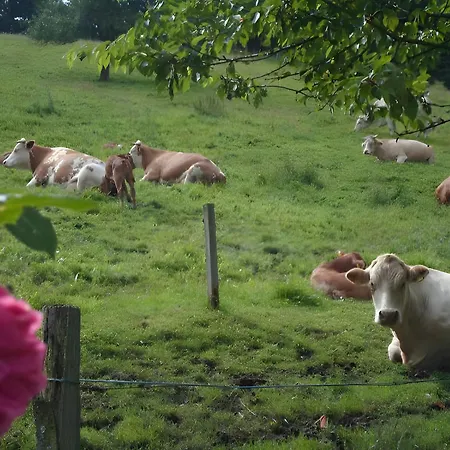 Zipperhof Apartamento *