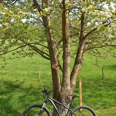 Zipperhof Apartamento