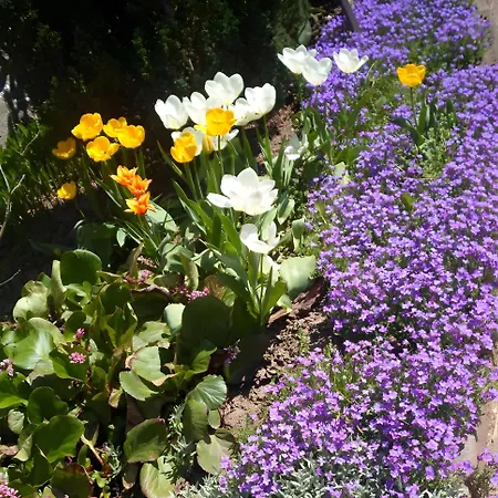 Apartamento Zipperhof