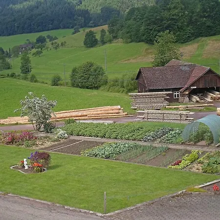Apartment Zipperhof Lahr (Baden-Wurttemberg)