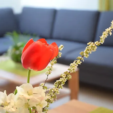 Zipperhof Apartment